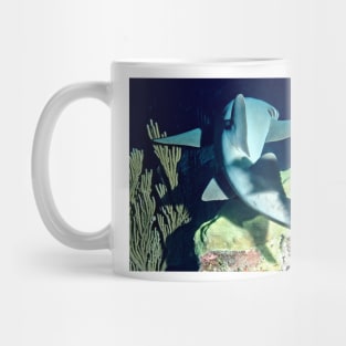 Nurse Shark on Night Dive Mug